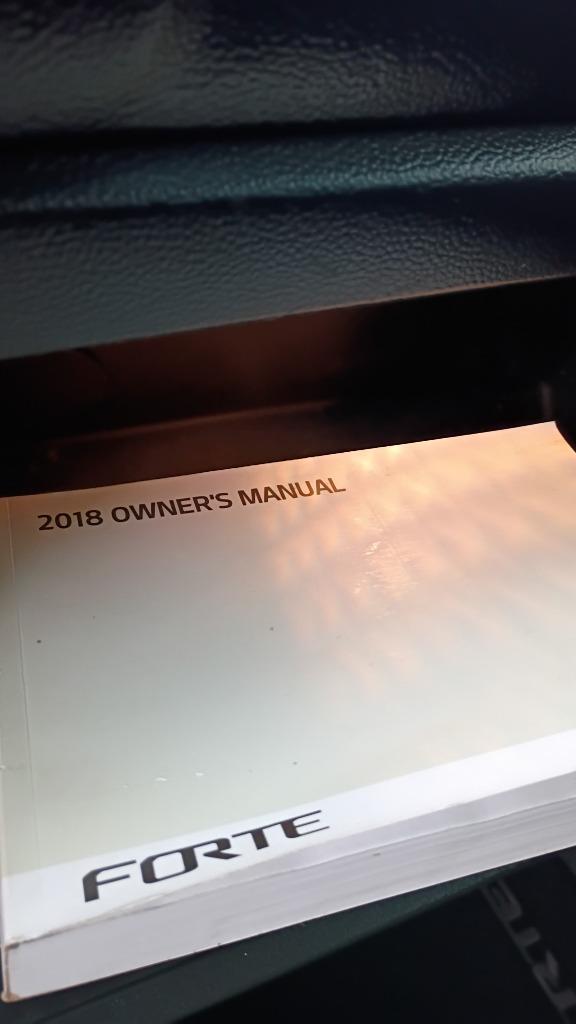 2018 Kia FORTE S - Photo 6